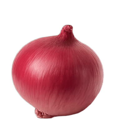 পেঁয়াজ (Onion)