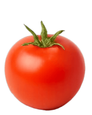 টমেটো (Tomato)