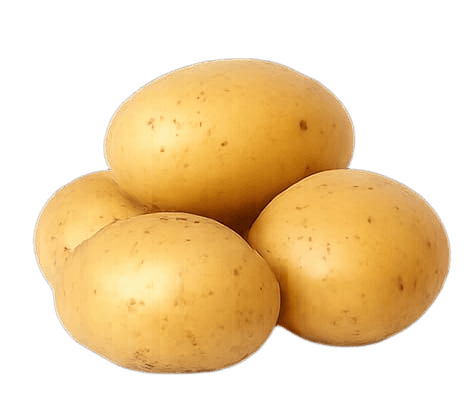আলু (Potato)