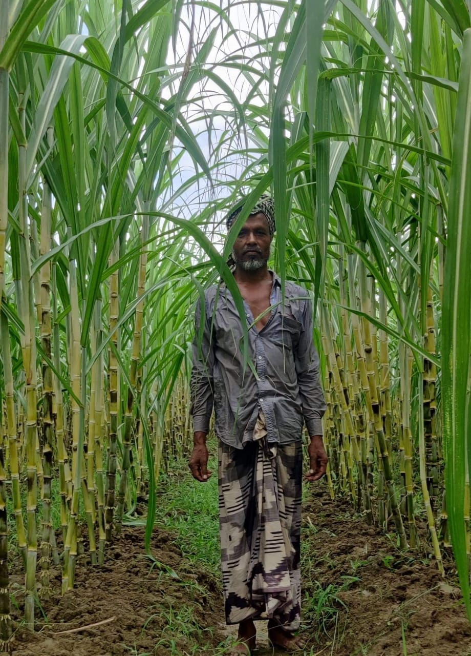 মোঃ আলী হোসেন Image