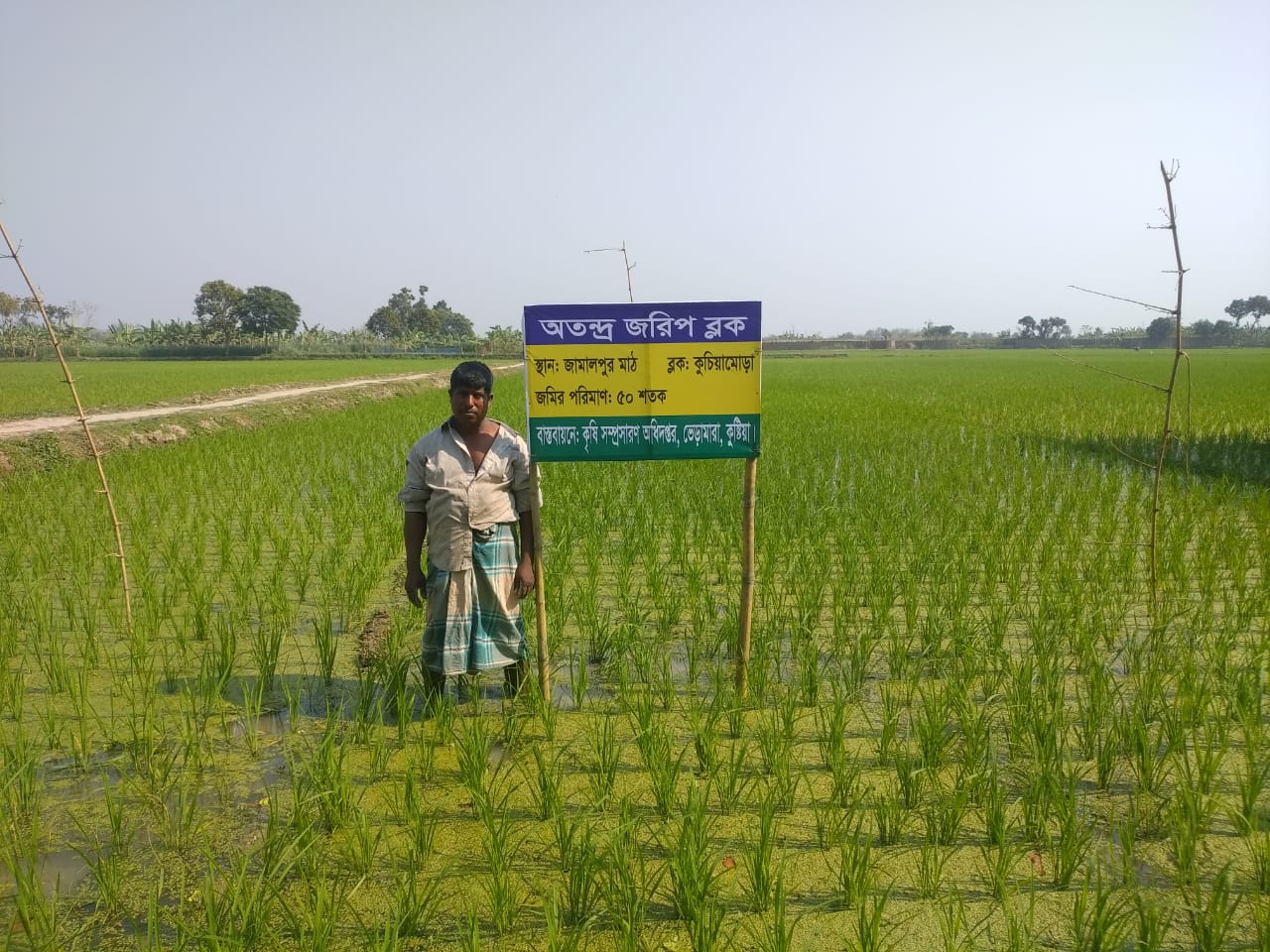 মোঃ সিরাজ শেখ Image